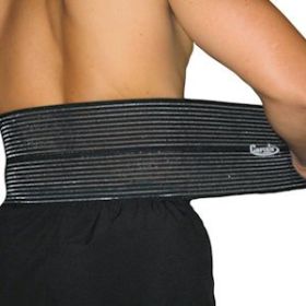 Elastic Back Support